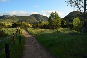 Mission Trails' beautiful hills