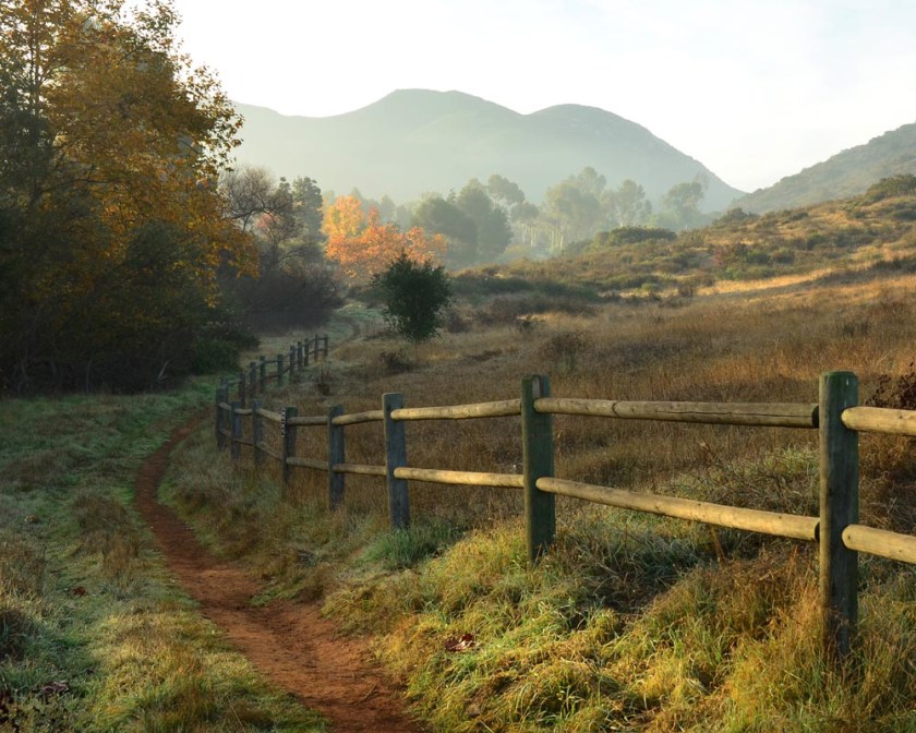 Fall beauty in Mission Trails Regional Park