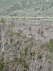 Mission Trails and proposed power plant site